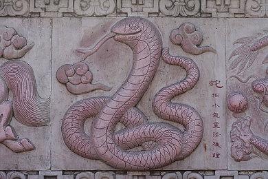 网传《尼尔：机械纪元》将登陆Switch 大家期待吗？