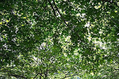 这画面竟会卡？《我的好友小猪佩奇》升级版太糟糕